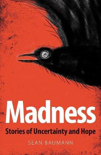 Cover image for Madness: Stories of Uncertainty and Hope