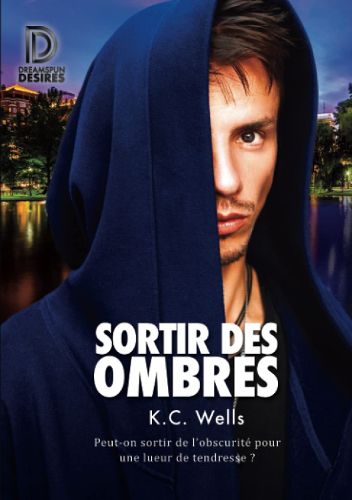 Cover image for Sortir des ombres