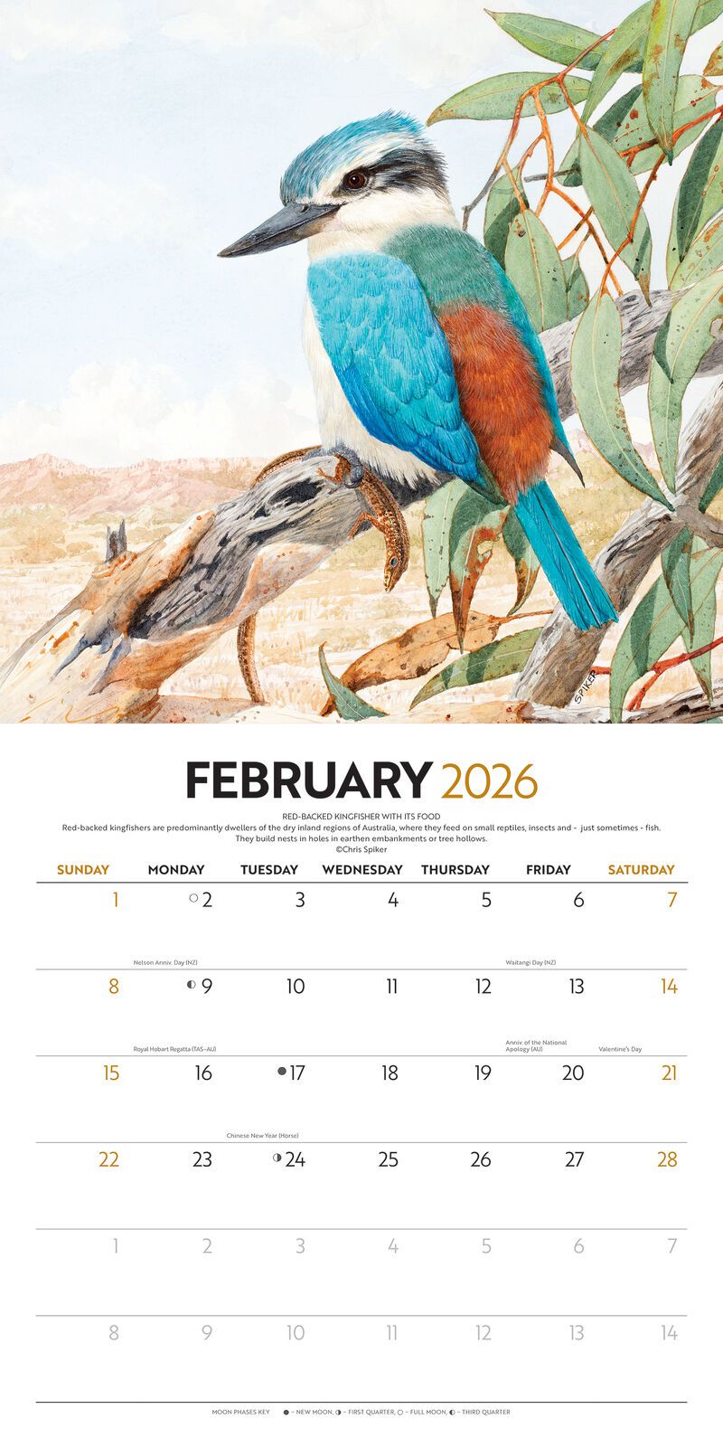 Illustrated Birds of Australia 2026 Square Calendar