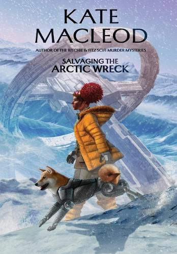 Cover image for Salvaging the Arctic Wreck