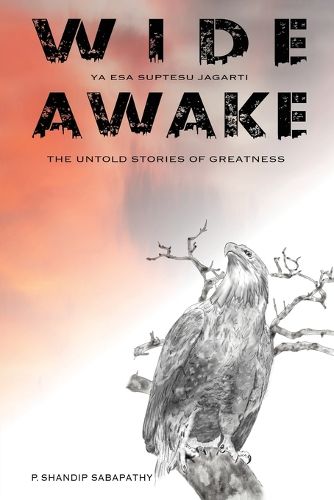 Cover image for Wide Awake