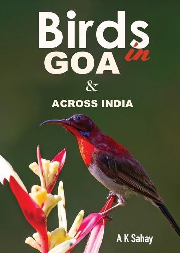 Cover image for Birds in Goa & Across India