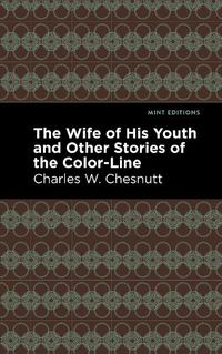 Cover image for The Wife of His Youth and Other Stories of the Color Line