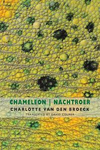 Cover image for Chameleon | Nachtroer