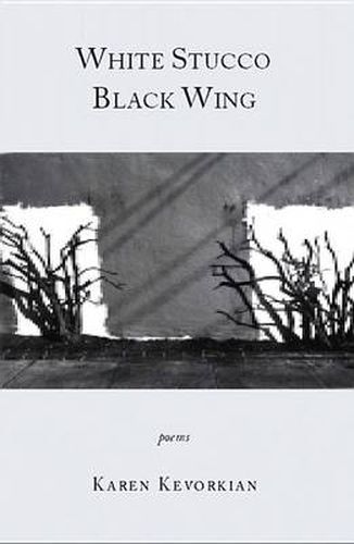 Cover image for White Stucco Black Wing