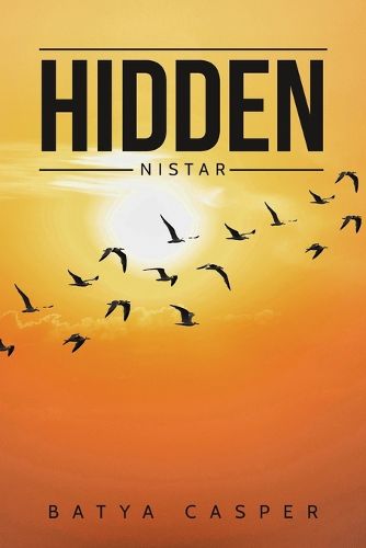 Cover image for Hidden