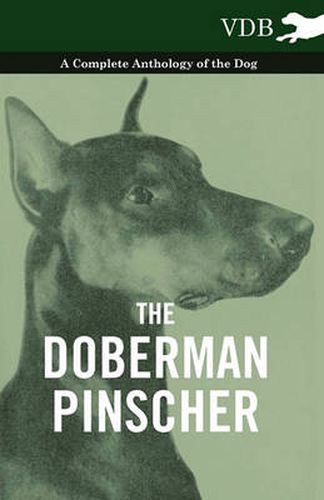 Cover image for The Doberman Pinscher - A Complete Anthology of the Dog -