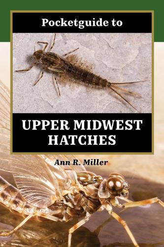 Cover image for Pocketguide to Upper Midwest Hatches