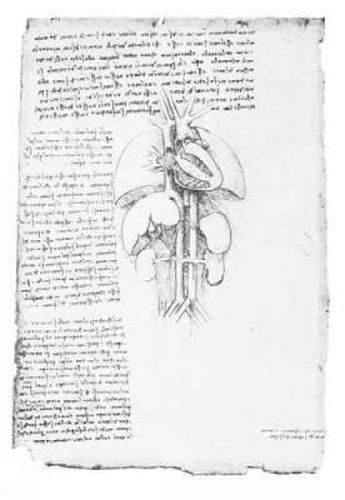 Cover image for Leonardo's Anatomical Drawings