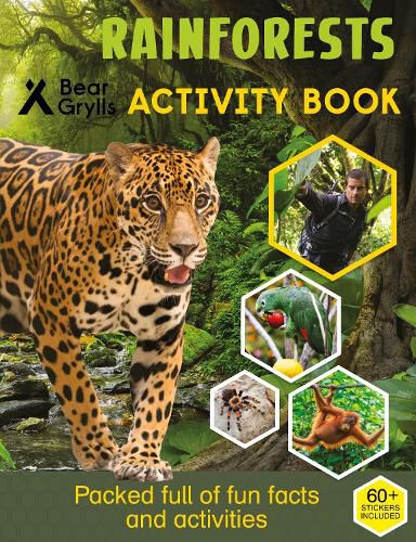 Cover image for Bear Grylls Sticker Activity: Rainforest