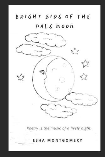 Cover image for Bright Side of the Pale Moon