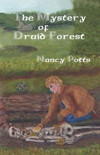 Cover image for The Mystery of Druid Forest