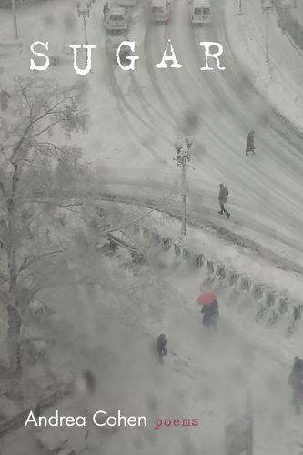 Cover image for Sugar