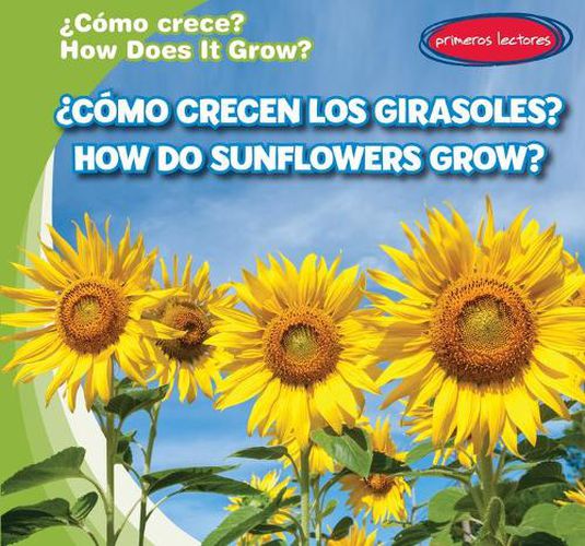 Cover image for ?Como Crecen Los Girasoles? / How Do Sunflowers Grow?