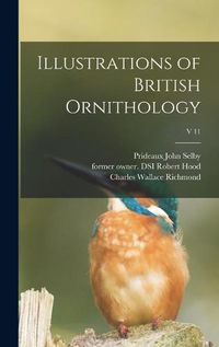 Cover image for Illustrations of British Ornithology; v 11