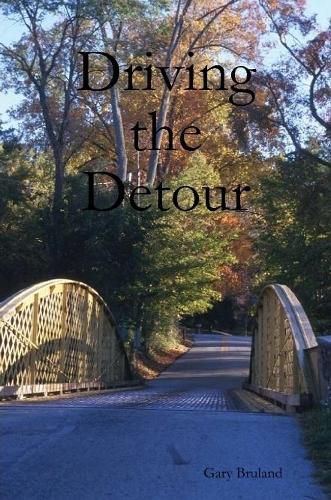 Cover image for Driving the Detour