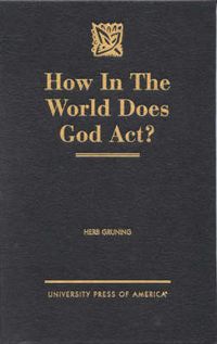 Cover image for How in the World Does God Act?