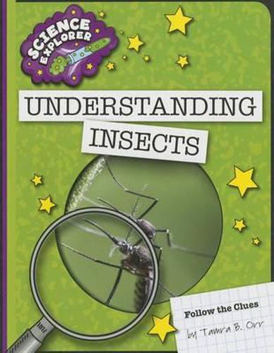 Cover image for Understanding Insects