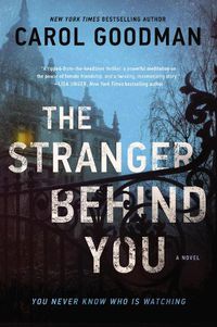 Cover image for The Stranger Behind You: A Novel