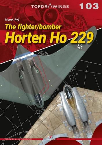 Cover image for The Fighter/Bomber Horten Ho 229