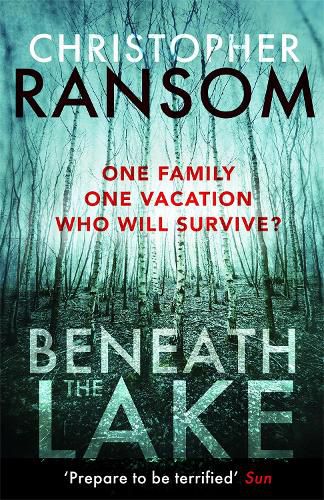 Cover image for Beneath the Lake