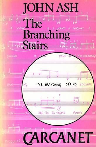 Cover image for The Branching Stairs