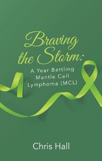 Cover image for Braving the Storm