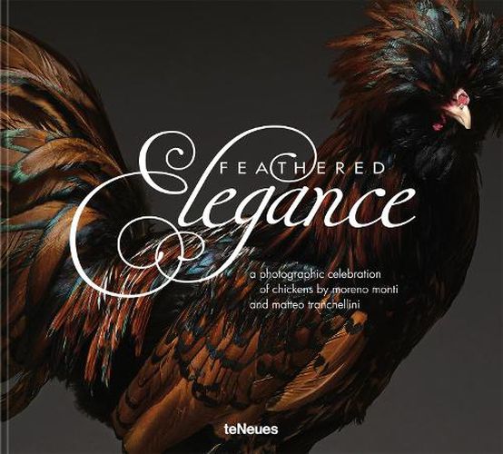 Cover image for Feathered Elegance