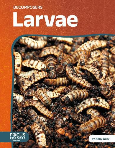 Cover image for Larvae