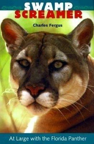 Cover image for Swamp Screamer: At Large with the Florida Panther