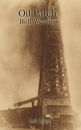 Cover image for Oil Patch Boll Weevils