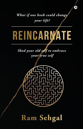Cover image for Reincarnate