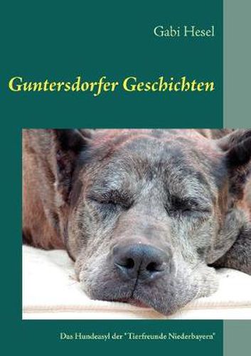 Cover image for Guntersdorfer Geschichten: Das Hundeasyl der Tierfreunde Niederbayern