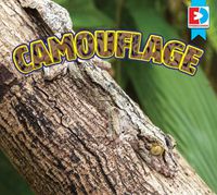 Cover image for Camouflage