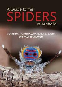 Cover image for A Guide to Spiders of Australia