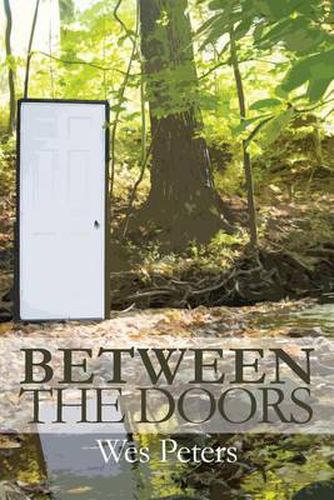 Cover image for Between the Doors