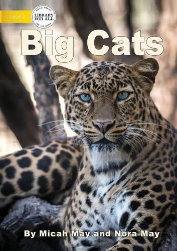 Cover image for Big Cats