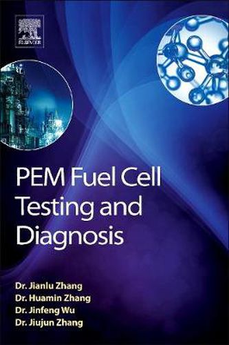 PEM Fuel Cell Testing and Diagnosis