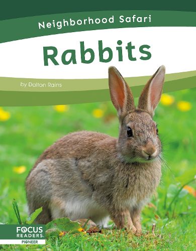 Cover image for Rabbits