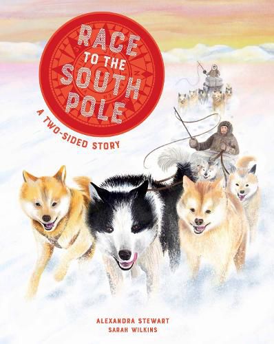 Cover image for Race to the South Pole