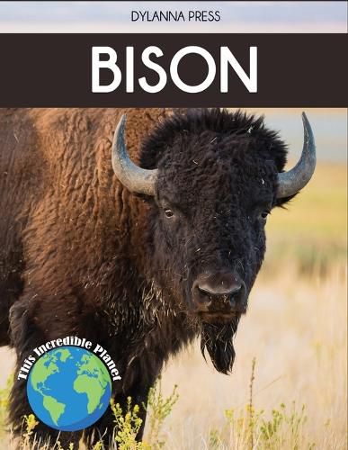 Cover image for Bison