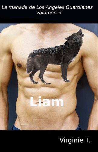 Cover image for Liam