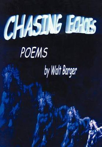 Cover image for Chasing Echoes