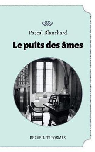 Cover image for Le puit des ames