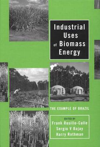 Cover image for Industrial Uses of Biomass Energy: The Example of Brazil