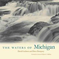 Cover image for The Waters of Michigan