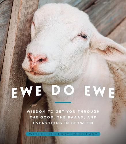 Cover image for Ewe Do Ewe: Wisdom to Get You Through the Good, the Baaad, and Everything in Between