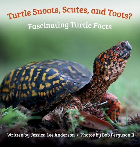 Cover image for Turtle Snoots, Scutes, and Toots? Fascinating Turtle Facts