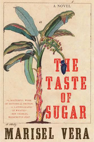 Cover image for The Taste of Sugar: A Novel