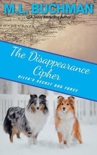 Cover image for The Disappearance Cipher